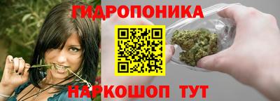 2c-b Шелехов