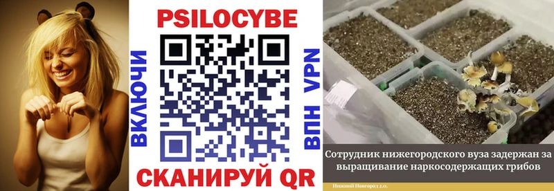 кракен ONION  Свободный  Галлюциногенные грибы GOLDEN TEACHER  магазин   