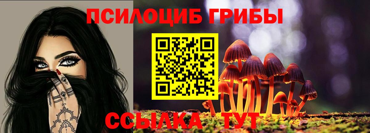 Псилоцибиновые грибы GOLDEN TEACHER  Вход с VPN  Свободный 