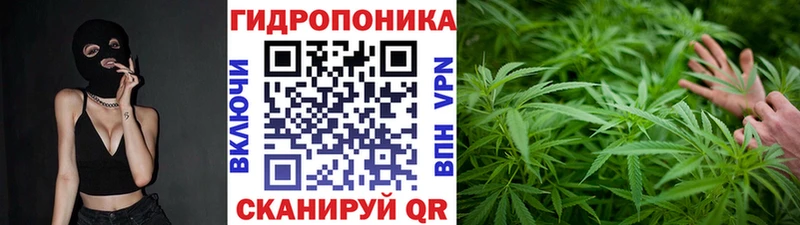 Канабис индика  Свободный 
